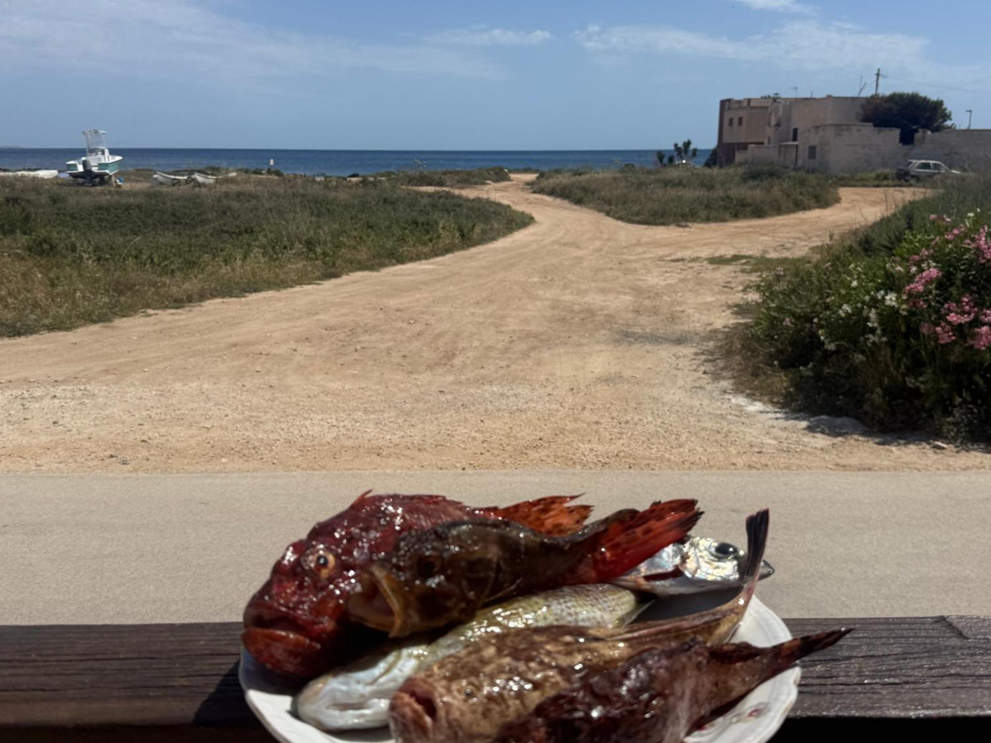 Music & Favignana
